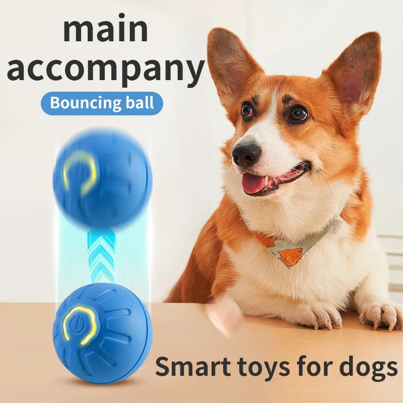 The Ultimate Electronic Playmate for Dogs