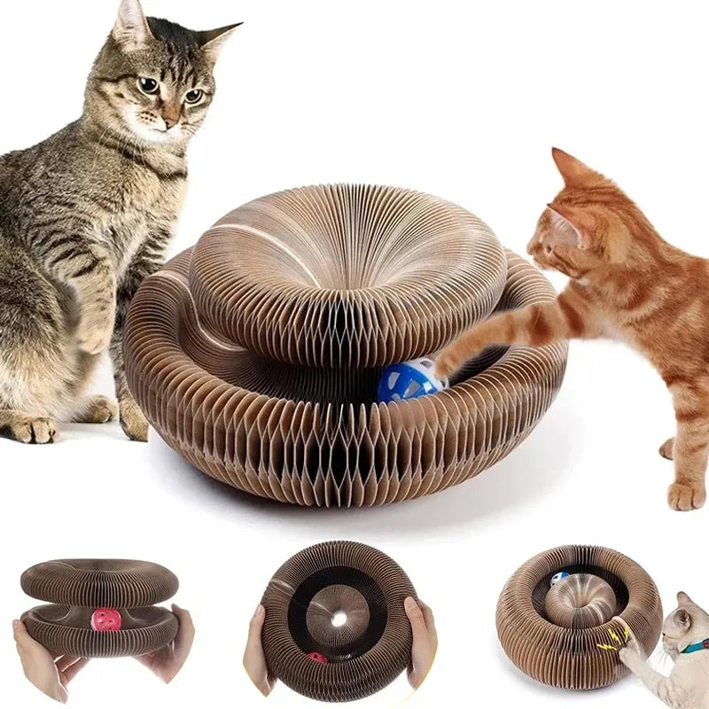 The Ultimate Cat Scratcher & Play Organ