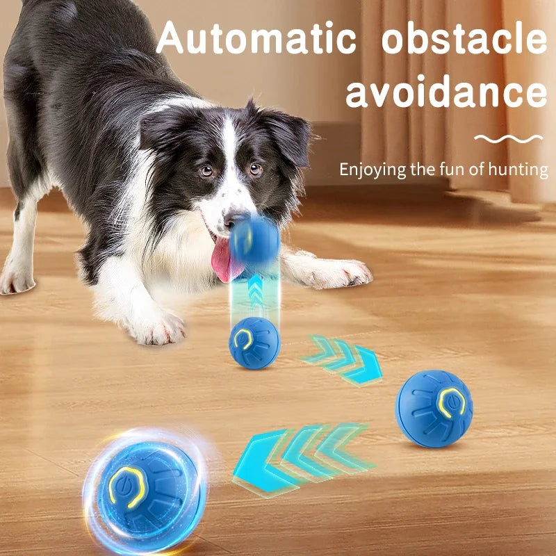 The Ultimate Electronic Playmate for Dogs