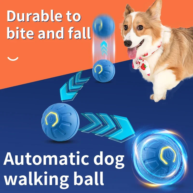 The Ultimate Electronic Playmate for Dogs