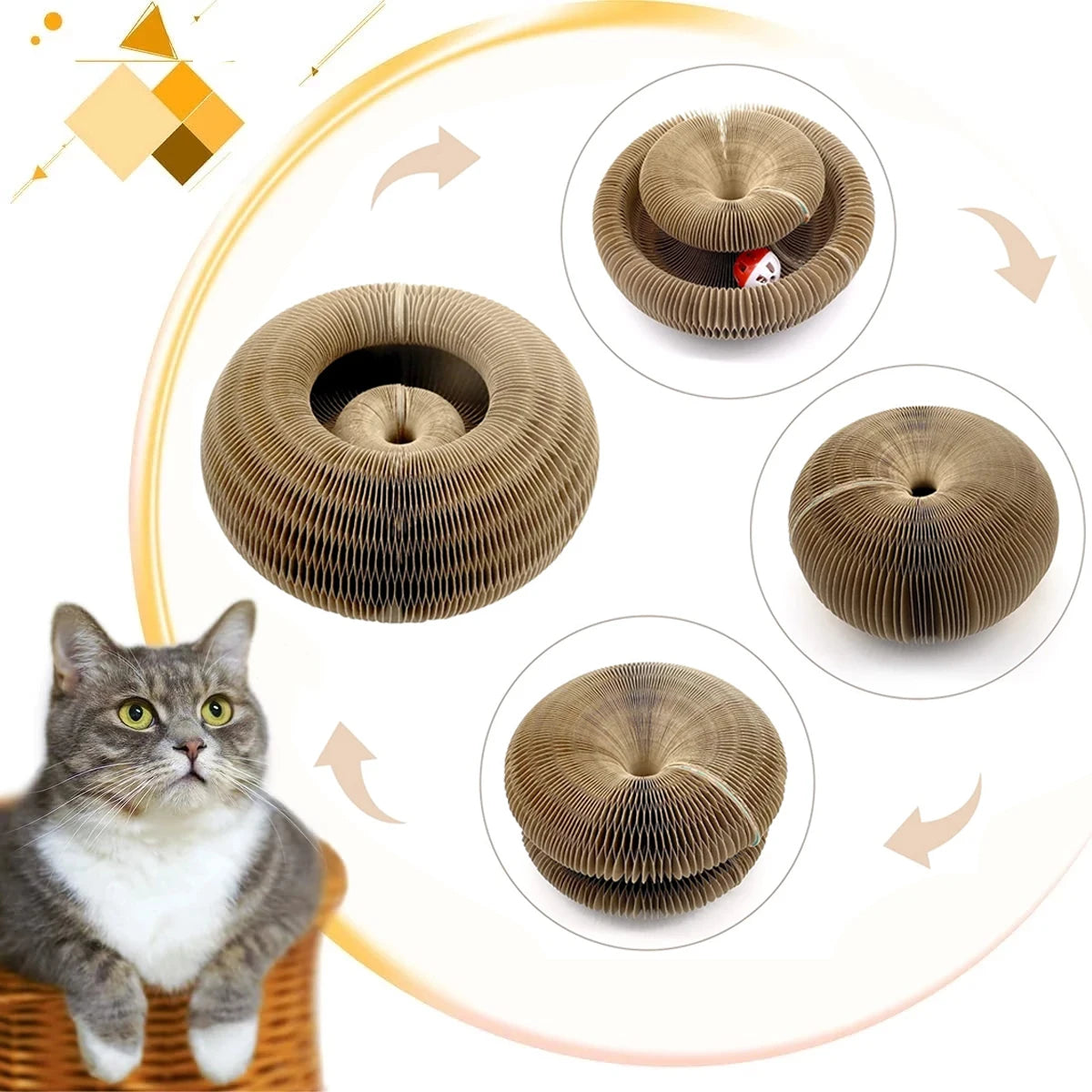 The Ultimate Cat Scratcher & Play Organ